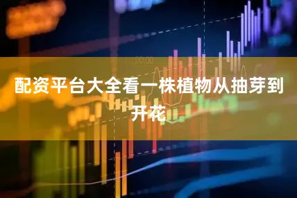 配资平台大全看一株植物从抽芽到开花