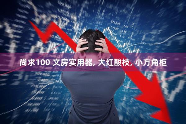 尚求100 文房实用器, 大红酸枝, 小方角柜
