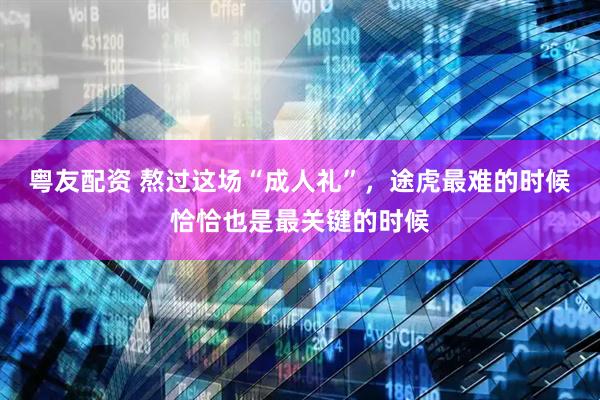 粤友配资 熬过这场“成人礼”，途虎最难的时候恰恰也是最关键的时候