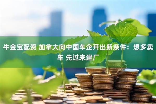 牛金宝配资 加拿大向中国车企开出新条件：想多卖车 先过来建厂