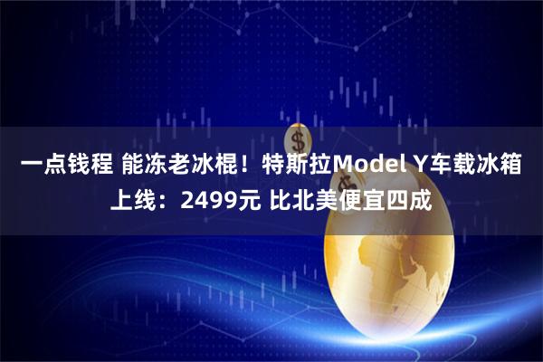 一点钱程 能冻老冰棍！特斯拉Model Y车载冰箱上线：2499元 比北美便宜四成