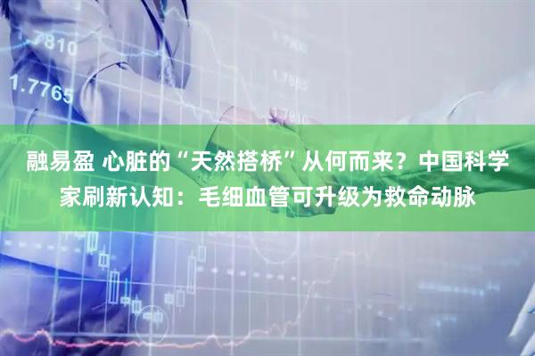融易盈 心脏的“天然搭桥”从何而来？中国科学家刷新认知：毛细血管可升级为救命动脉